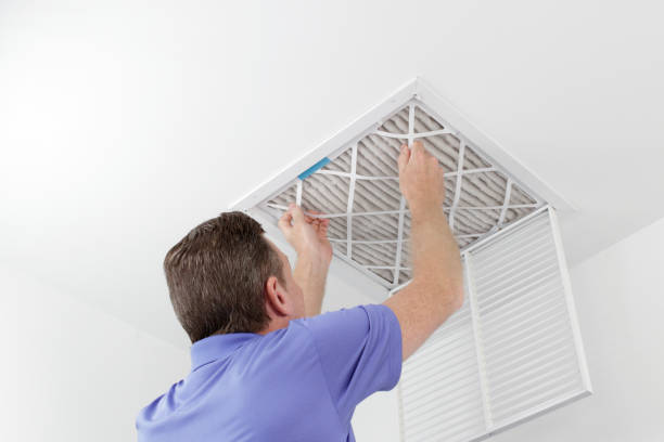 Best Professional Duct Cleaning Services  in Angels, CA